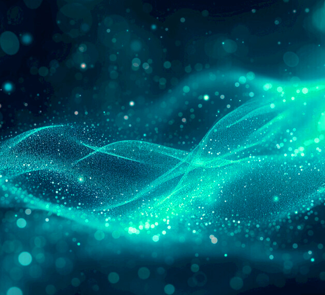 刷单词APP区域代理加盟政策